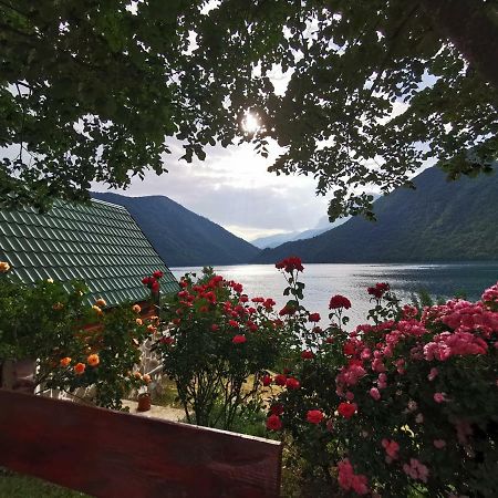 B&B Konak Plužine Eksteriør bilde