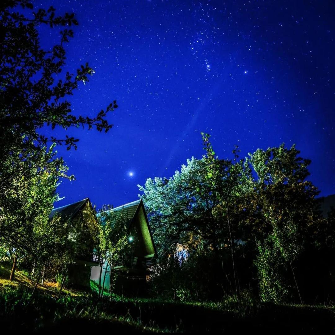 B&B Konak Plužine Eksteriør bilde