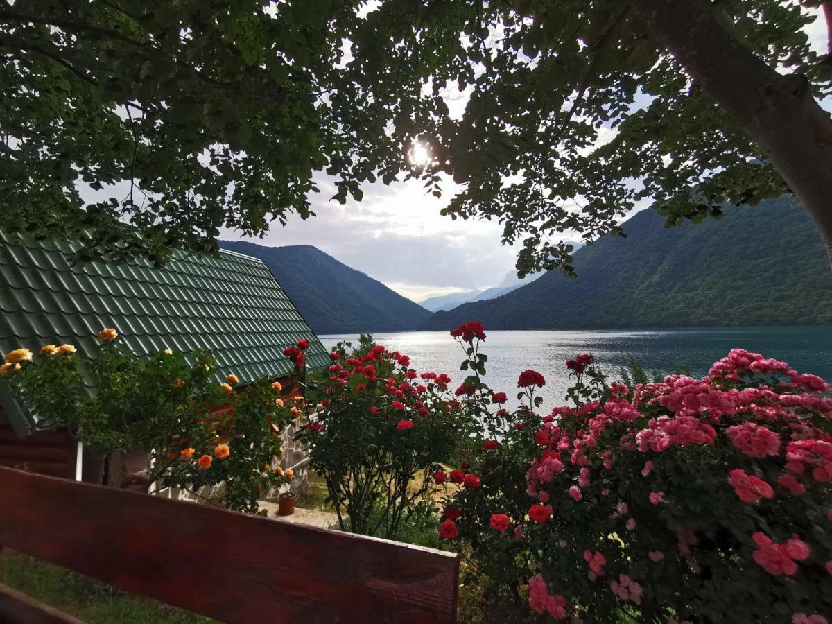 B&B Konak Plužine Eksteriør bilde